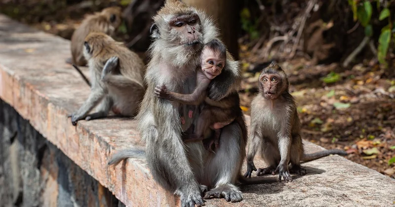 Les trois types de requêtes longue traîne (et une seule vous intéresse vraiment)
